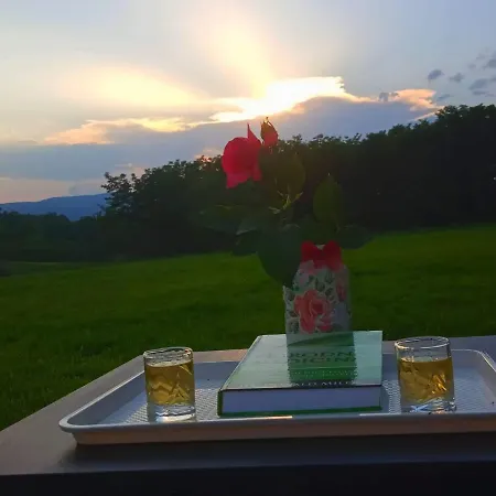 Апартаменты Petrovic Semce Suva Planina Gadzin Han