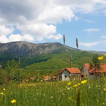 Petrovic Semce Suva Planina *