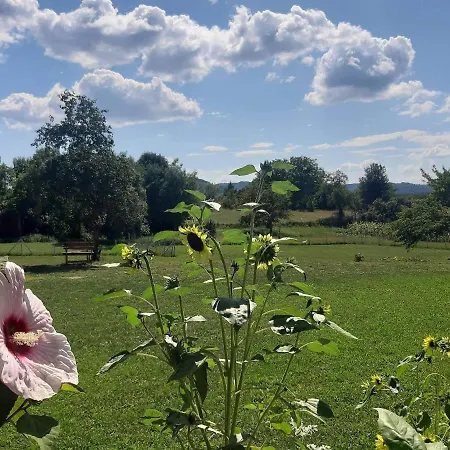 Petrovic Semce Suva Planina Gadzin Han