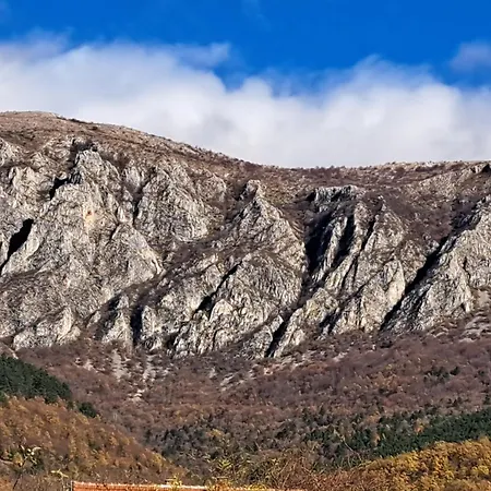 Апартаменты Petrovic Semce Suva Planina