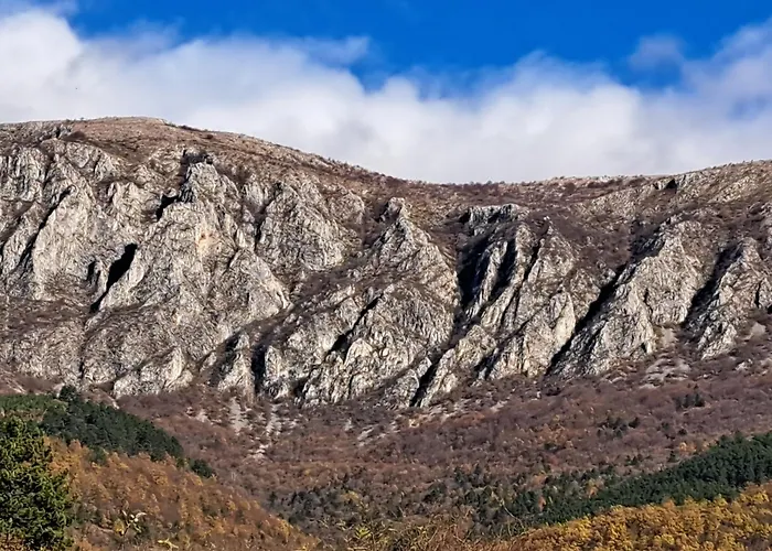 Διαμέρισμα Petrovic Semce Suva Planina