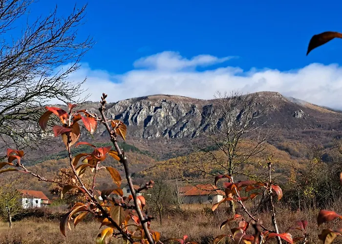Petrovic Semce Suva Planina Διαμέρισμα *