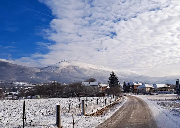 Διαμέρισμα Petrovic Semce Suva Planina *