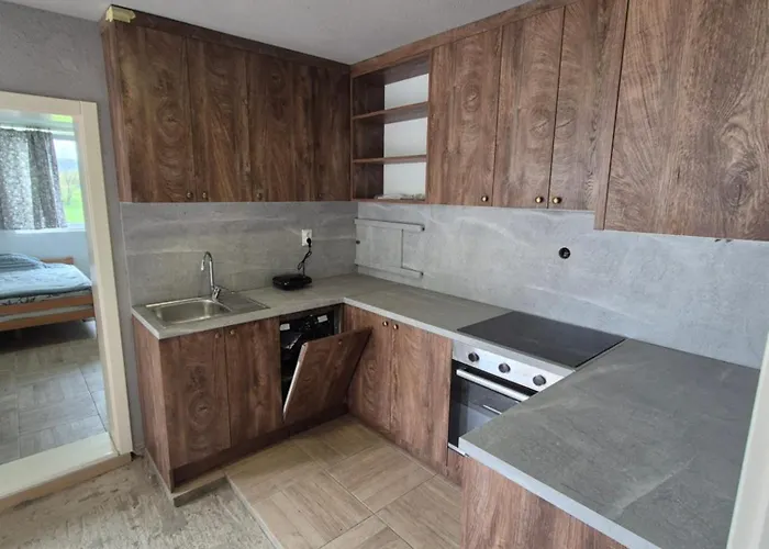 Petrovic Semce Suva Planina Διαμέρισμα Gadzin Han